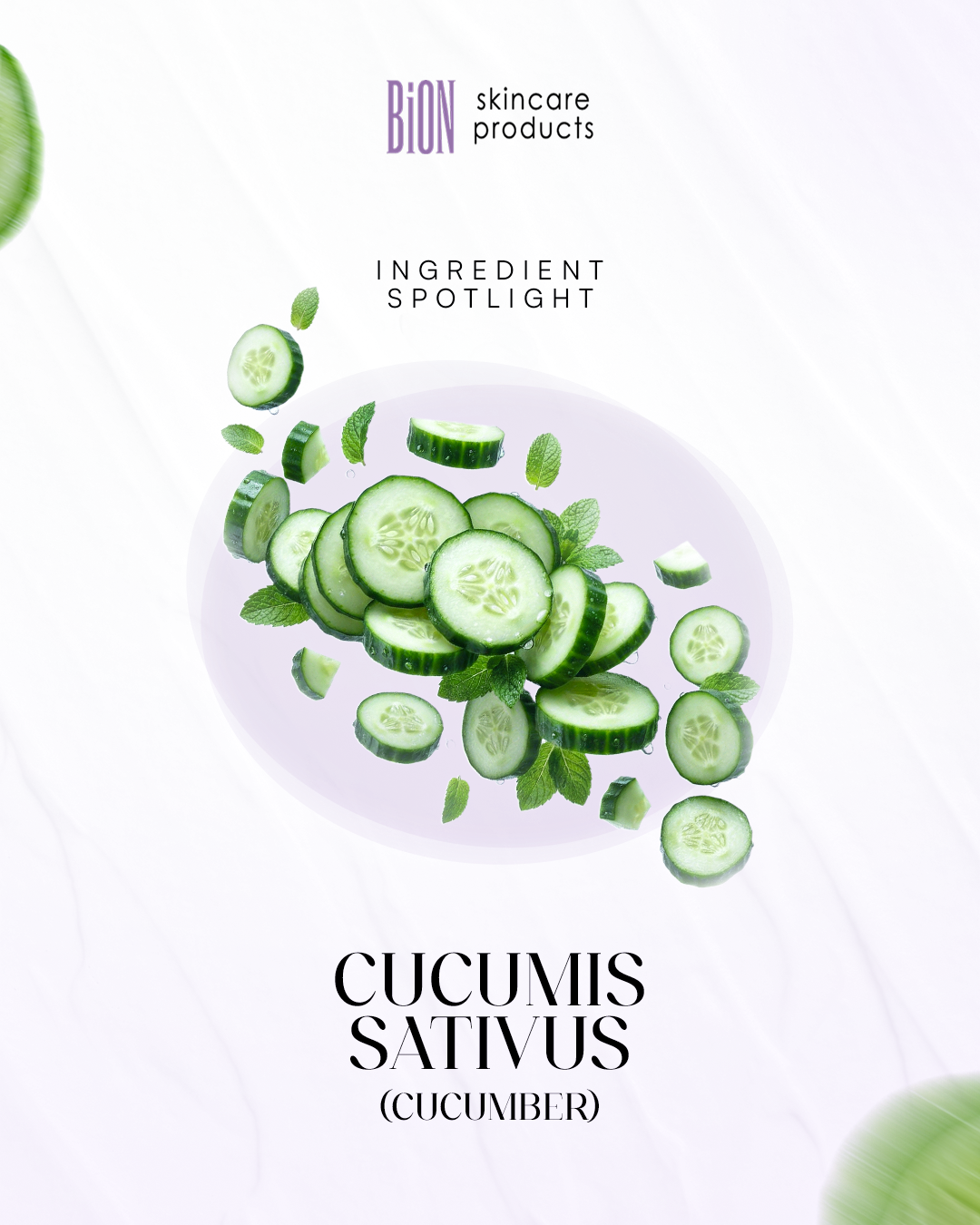 Dart's Proposed BiON Social Post